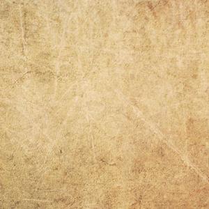 中国美女一级牲交视频
